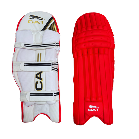 Professional-grade cricket pads with wide knee protection and reinforced straps